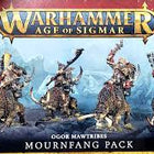 Dit is een foto van het spel Mournfang Pack - Ogur Mawtribes te koop bij Speldorado Spellenwinkel Delft