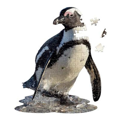 I Am Lil' Pinguïn, 5124004 van Dam te koop bij Speldorado !