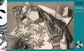 Dit is een foto van het spel Reptielen M.C. Escher te koop bij Speldorado Spellenwinkel Delft