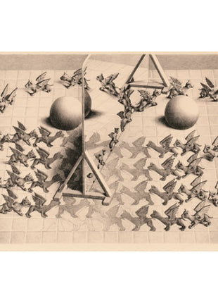 Dit is een foto van het spel Toverspiegel M.C. Escher te koop bij Speldorado Spellenwinkel Delft