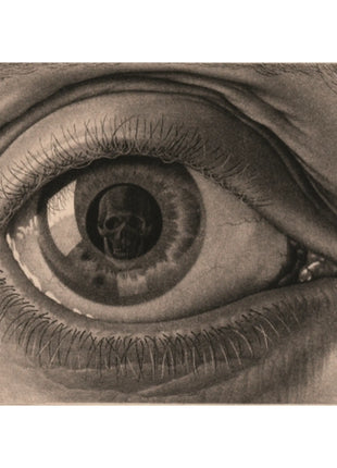 Oog M.C. Escher (1000), PUZ-842 van Boosterbox te koop bij Speldorado !