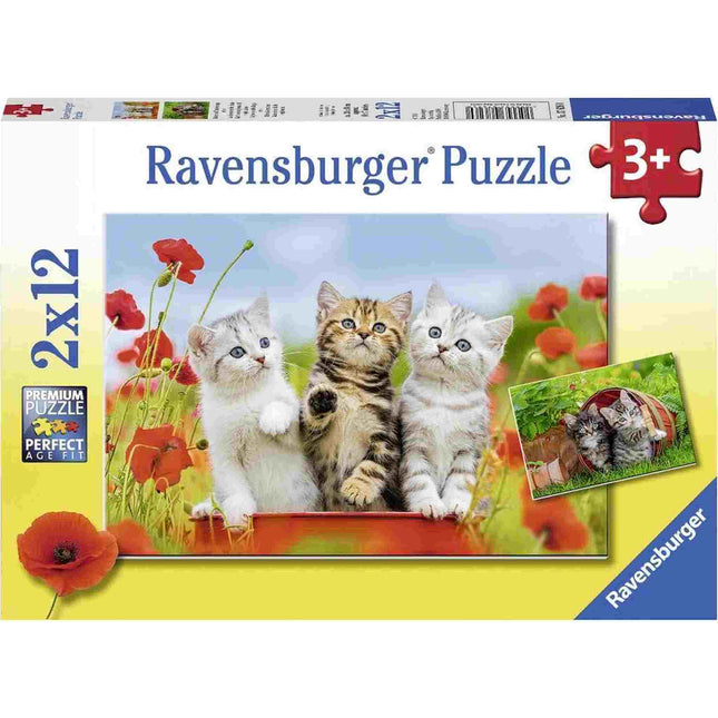 Katjes Op Ontdekkingsreis 76260, 76260 van Ravensburger te koop bij Speldorado !