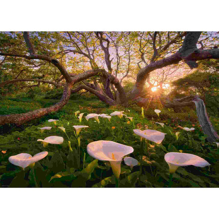 Dit is een foto van het spel Puzzelcalla,Magic Fo te koop bij Speldorado Spellenwinkel Delft