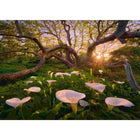 Ravensburger puzzel 