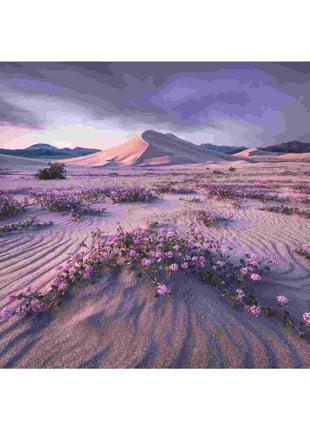 Dit is een foto van het spel Arrow Dynamic te koop bij Speldorado Spellenwinkel Delft