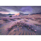 Dit is een foto van het spel Arrow Dynamic te koop bij Speldorado Spellenwinkel Delft