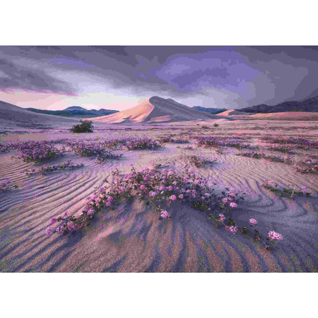 Dit is een foto van het spel Arrow Dynamic te koop bij Speldorado Spellenwinkel Delft