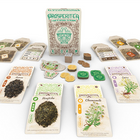 Dit is een foto van het spel Prosperitea - En te koop bij Speldorado Spellenwinkel Delft