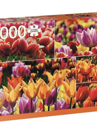 Dit is een foto van het spel Tulips From Holland te koop bij Speldorado Spellenwinkel Delft
