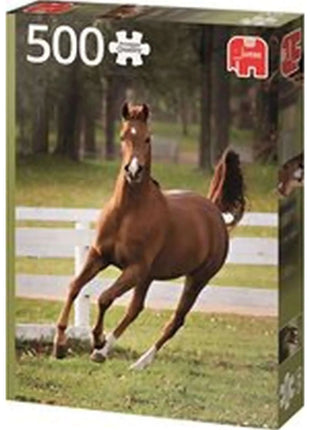 Dit is een foto van het spel Playful Foal te koop bij Speldorado Spellenwinkel Delft