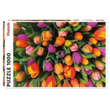 Dit is een foto van het spel Tulpen te koop bij Speldorado Spellenwinkel Delft