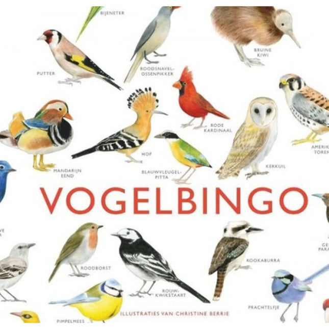 Vogelbingo, VBK-78781 van Boosterbox te koop bij Speldorado !