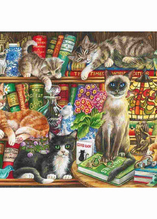 Dit is een foto van het spel Puss In Books te koop bij Speldorado Spellenwinkel Delft