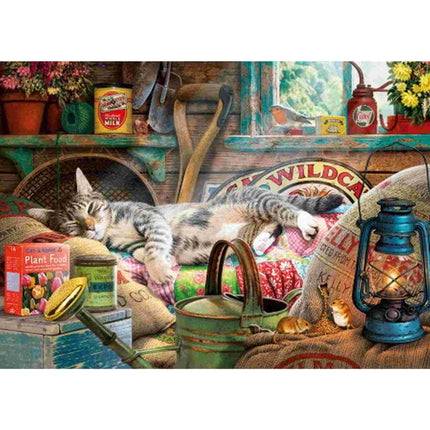 Dit is een foto van het spel Snoozing In The Shed te koop bij Speldorado Spellenwinkel Delft
