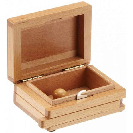 Secret Box Puzzel hersenbreker  - Philos