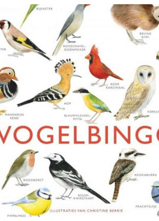 Vogelbingo – kaartspel voor kinderen Vanaf 6 jaar
